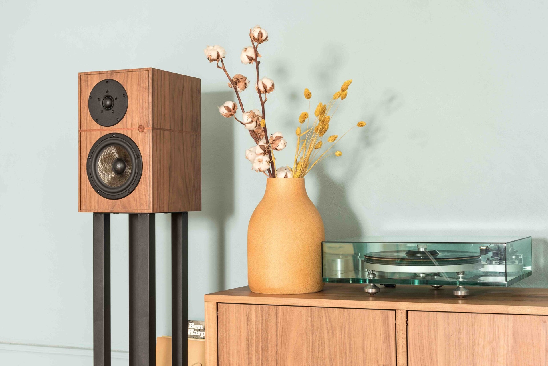 Revival Audio Atalante 3 | Monitores HiFi de Referencia | Diseño Francés, Sonido Orgánico y Detalle Increíble | JMI Audio