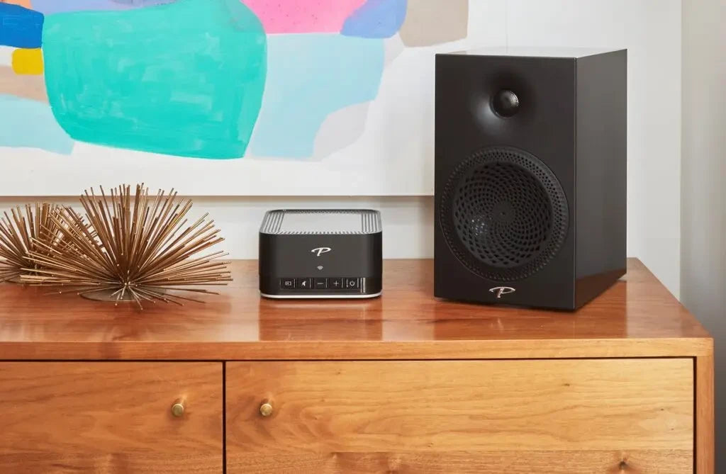 A11 Tribute Amplificador estéreo Rotel + Premier 100B Par de bocinas | Paradigm