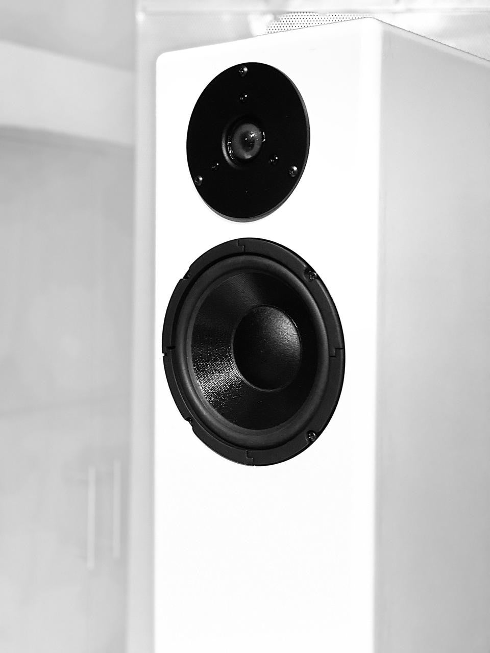 Maupomé Acoustic bocina Isabella D